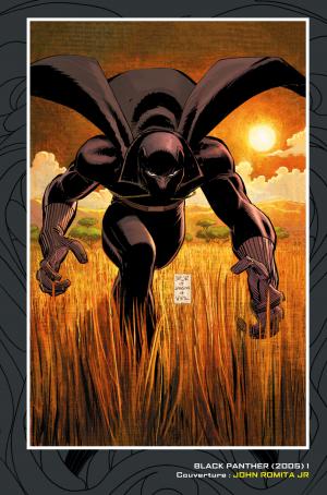 Black Panther  Qui Est La Panthère Noire ? TPB Hardcover - Marvel Deluxe - Issues V4 (Panini Comics) photo 5