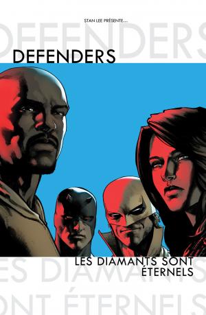 Defenders 1  TPB Hardcover - 100% Marvel (Panini Comics) photo 1
