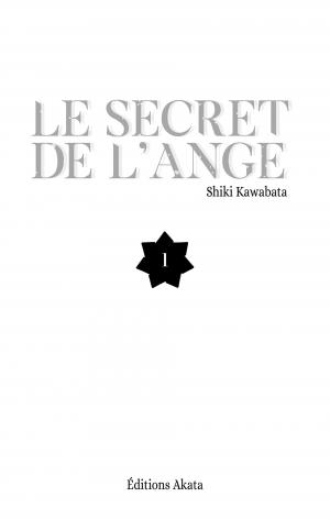 Le secret de l'ange 1  Simple (akata) photo 2