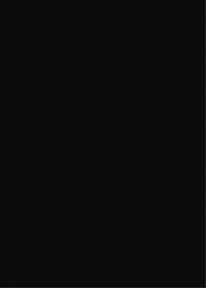 La tragédie brune   simple (les arènes) photo 2