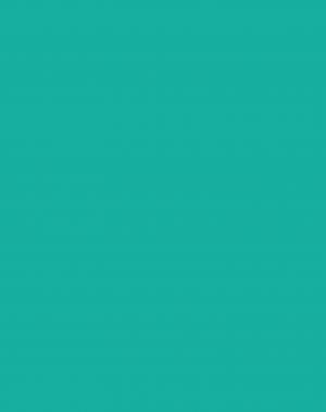 Les dragons de Nalsara 1 L'Île aux dragons Simple (bayard éditions) photo 5