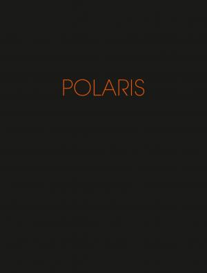 Polaris ou la nuit de Circé   simple (delcourt bd) photo 1