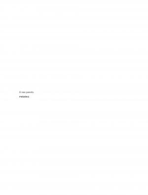 Amère patrie   Intégrale 2018 (dupuis) photo 7