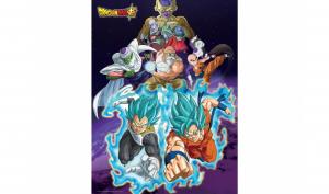Dragon Ball Super 1  collector A4 DVD (AB Vidéo) photo 4