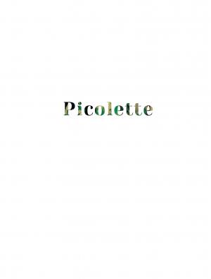 Picolette   simple (delcourt bd) photo 3