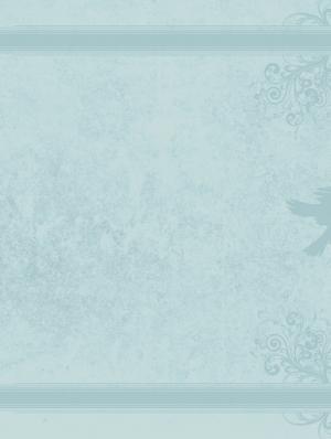 Olwen, fille d'Arthur  La damoiselle Sauvage simple (glénat bd) photo 1