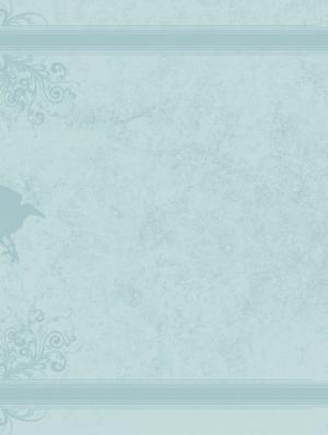 Olwen, fille d'Arthur  La damoiselle Sauvage simple (glénat bd) photo 2