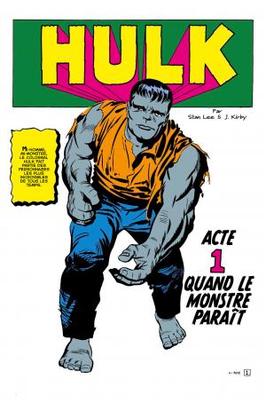 Je suis Hulk   TPB hardcover (cartonnée) (Panini Comics) photo 7