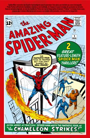 Décennies - Marvel dans les Années 60  Spider-Man rencontre l'univers Marvel TPB hardcover (cartonnée) (Panini Comics) photo 3