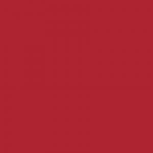 Walking Dead - Negan  Negan dans le texte Hors série (delcourt bd) photo 6