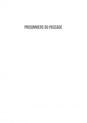 Prisonniers du passage   simple (steinkis) photo 1