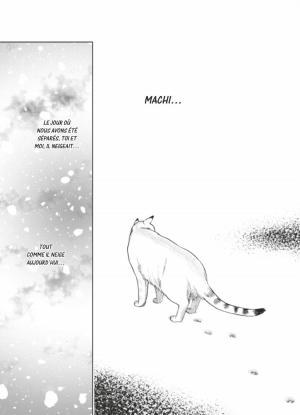 Le Chat aux Sept Vies 1  simple (Glénat Manga) photo 1