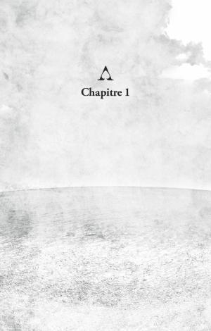 One Piece - Roman Ace 2  simple (glénat manga) photo 9