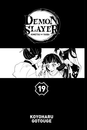 Demon slayer 19  Simple (2019) (Panini manga) photo 2