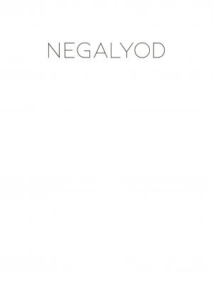 Negalyod 2 Le dernier mot simple NB (casterman bd) photo 2