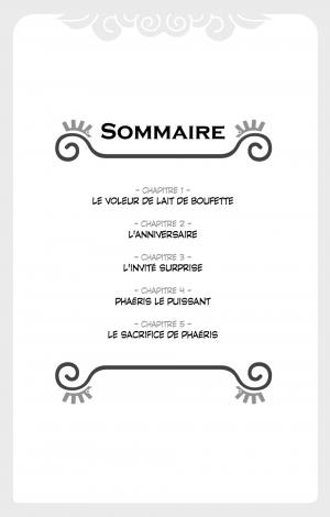 Wakfu 1  Simple (Ankama Manga) photo 5