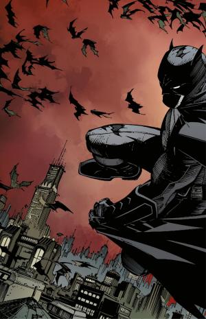 Batman 1 La cour des Hiboux TPB hardcover (cartonnée) - Issues V2 (Urban Comics) photo 3