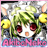 AkibaNeko